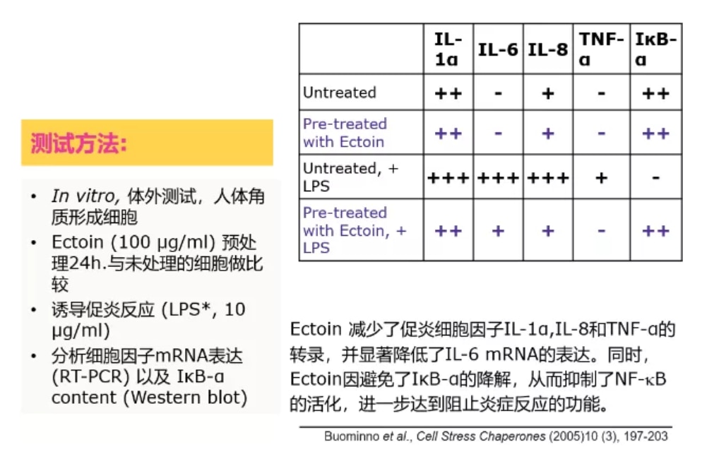 依克多因修复敏感肌肤