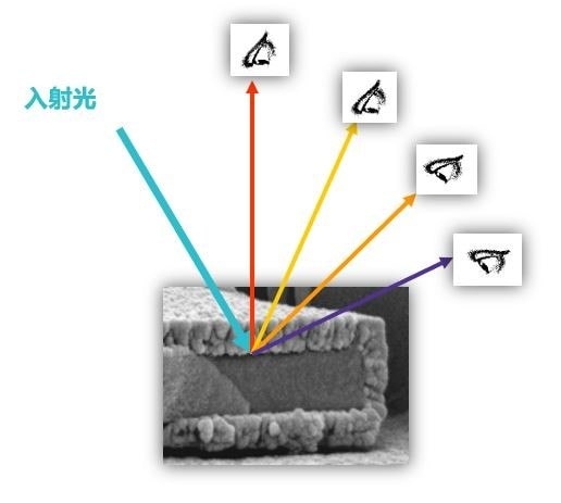 变色龙珠光粉的呈色原理图