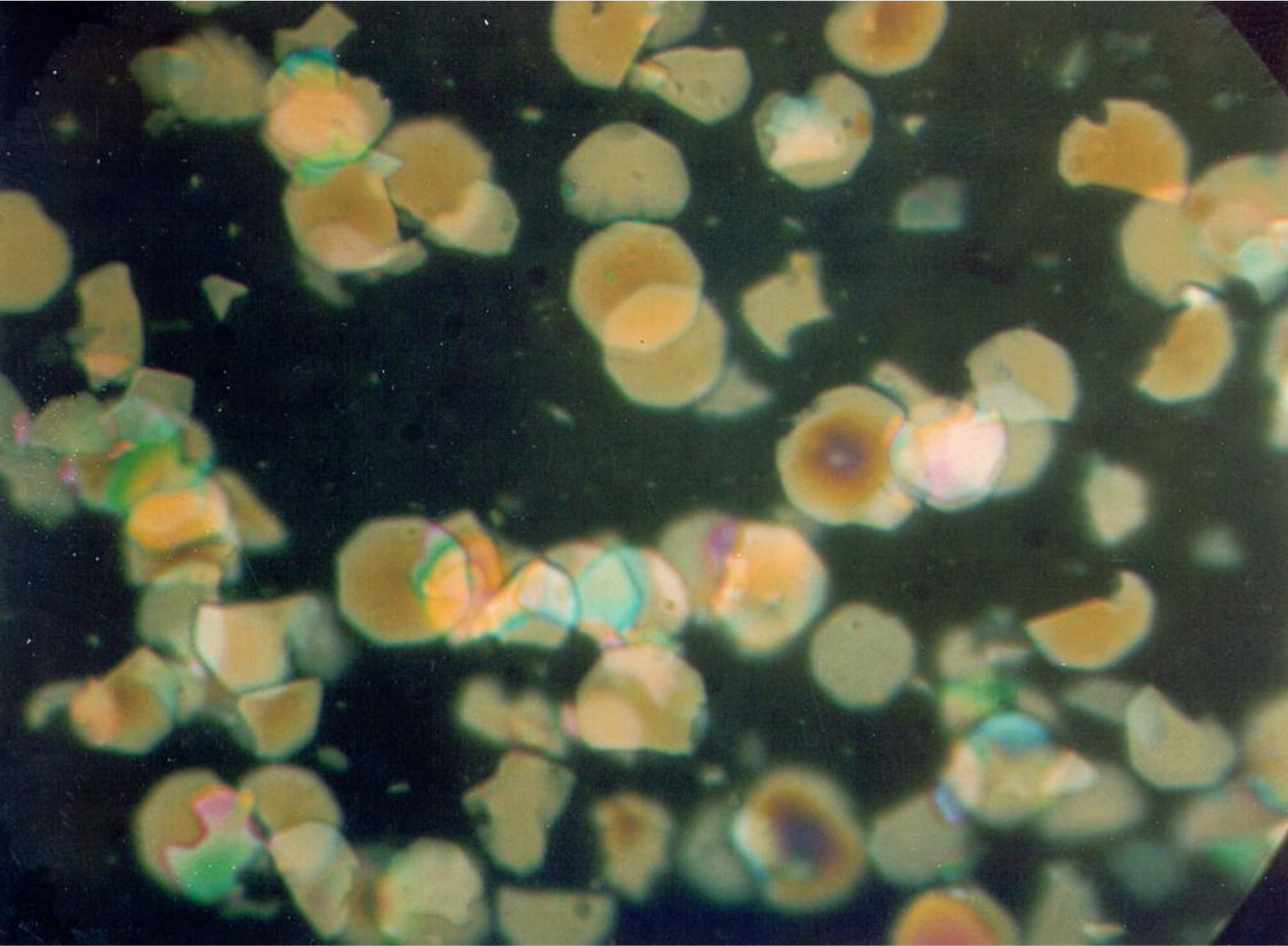 默克液体金属效果颜料氯氧化铋BiOCl晶体图