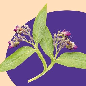RonaCare&#174; Allantoin active ingredient, skin care, soothing, oral care, hair care