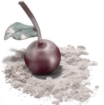 Candurin&#174; NXT Silver Blossom masstone, silver, 5-50&#160;&#956;m particle size distribution