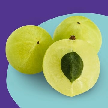 Emblica&#174; anti-pollution, antioxidant, anti-aging, brightening, active ingredient, skin care